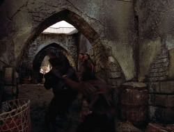 extant_HTLJ_4x16-Porkules_1531