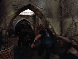 extant_HTLJ_4x16-Porkules_1532