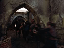 extant_HTLJ_4x16-Porkules_1533