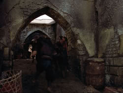 extant_HTLJ_4x16-Porkules_1534