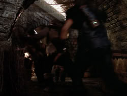extant_HTLJ_4x16-Porkules_1544