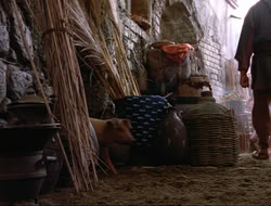 extant_HTLJ_4x16-Porkules_1555