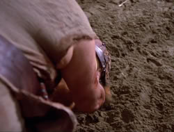 extant_HTLJ_4x16-Porkules_1572