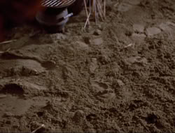 extant_HTLJ_4x16-Porkules_1574
