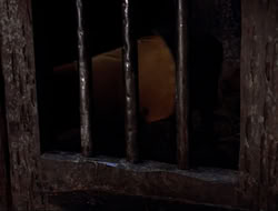 extant_HTLJ_4x16-Porkules_1602