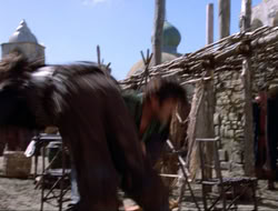extant_HTLJ_4x16-Porkules_1661