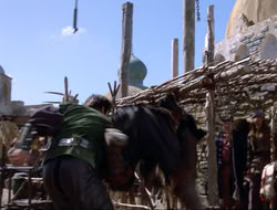 extant_HTLJ_4x16-Porkules_1666