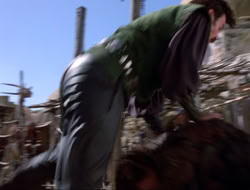 extant_HTLJ_4x16-Porkules_1723