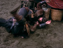 extant_HTLJ_4x16-Porkules_1743