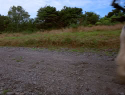 extant_HTLJ_4x16-Porkules_1775