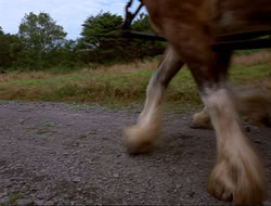 extant_HTLJ_4x16-Porkules_1776