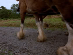 extant_HTLJ_4x16-Porkules_1777