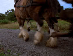 extant_HTLJ_4x16-Porkules_1778