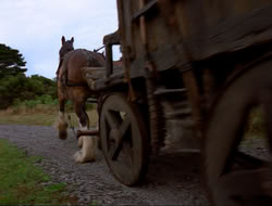 extant_HTLJ_4x16-Porkules_1780