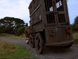 extant_HTLJ_4x16-Porkules_1782