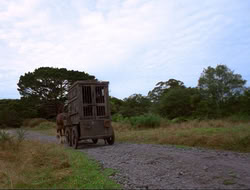 extant_HTLJ_4x16-Porkules_1786
