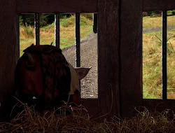 extant_HTLJ_4x16-Porkules_1790