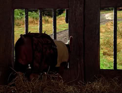 extant_HTLJ_4x16-Porkules_1793