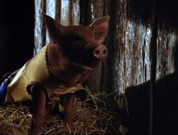 extant_HTLJ_4x16-Porkules_1812