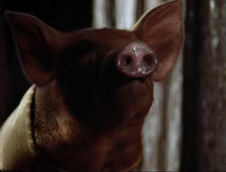 extant_HTLJ_4x16-Porkules_1845