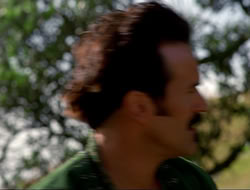 extant_HTLJ_4x16-Porkules_2070