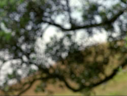 extant_HTLJ_4x16-Porkules_2071