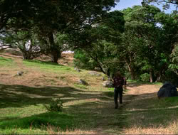 extant_HTLJ_4x16-Porkules_2072