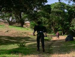 extant_HTLJ_4x16-Porkules_2078