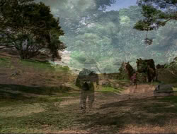 extant_HTLJ_4x16-Porkules_2080
