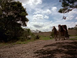 extant_HTLJ_4x16-Porkules_2081