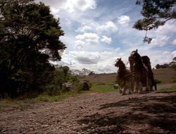 extant_HTLJ_4x16-Porkules_2082