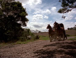 extant_HTLJ_4x16-Porkules_2083