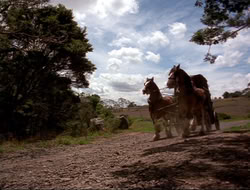 extant_HTLJ_4x16-Porkules_2084
