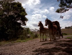 extant_HTLJ_4x16-Porkules_2085