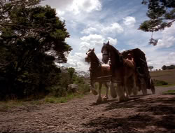 extant_HTLJ_4x16-Porkules_2086