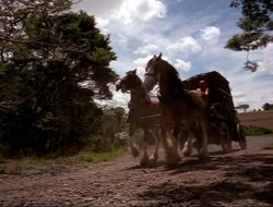 extant_HTLJ_4x16-Porkules_2087
