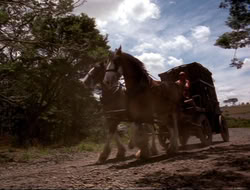 extant_HTLJ_4x16-Porkules_2088
