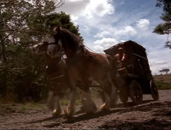 extant_HTLJ_4x16-Porkules_2089