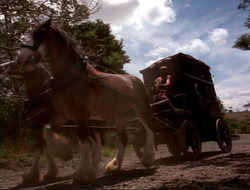 extant_HTLJ_4x16-Porkules_2090