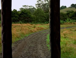 extant_HTLJ_4x16-Porkules_2118