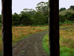 extant_HTLJ_4x16-Porkules_2120