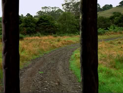 extant_HTLJ_4x16-Porkules_2121