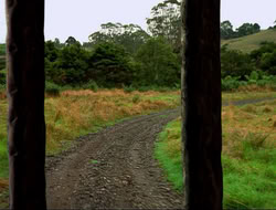extant_HTLJ_4x16-Porkules_2122