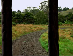 extant_HTLJ_4x16-Porkules_2123