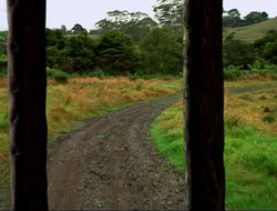 extant_HTLJ_4x16-Porkules_2124