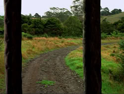 extant_HTLJ_4x16-Porkules_2126