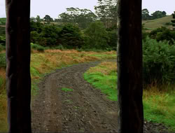 extant_HTLJ_4x16-Porkules_2130