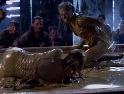 extant_HTLJ_4x16-Porkules_2330