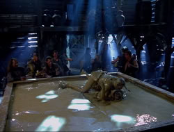 extant_HTLJ_4x16-Porkules_2339