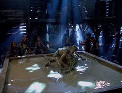 extant_HTLJ_4x16-Porkules_2340